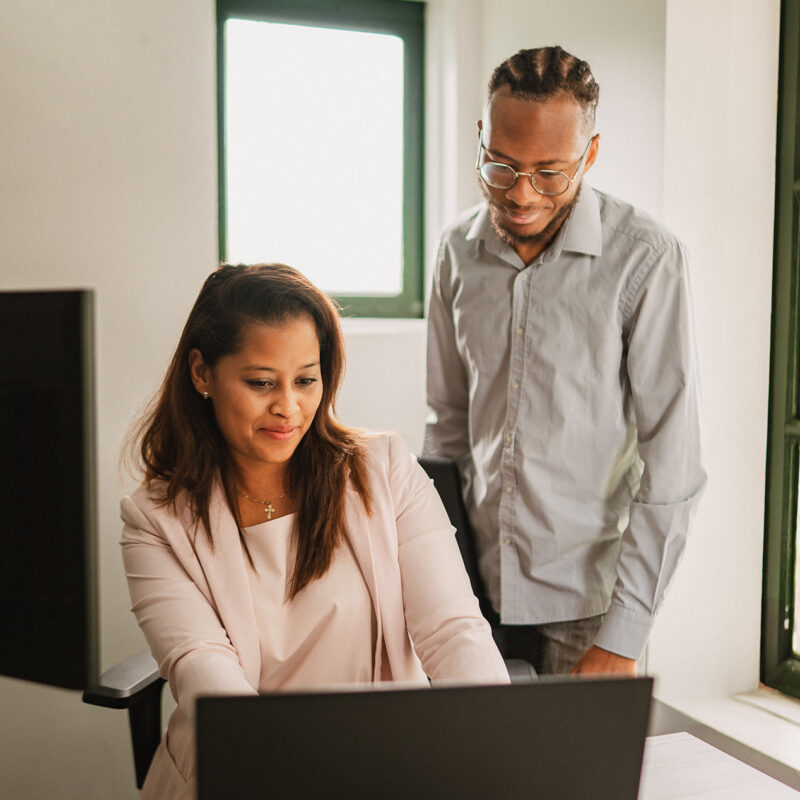 Software ontwikkeling